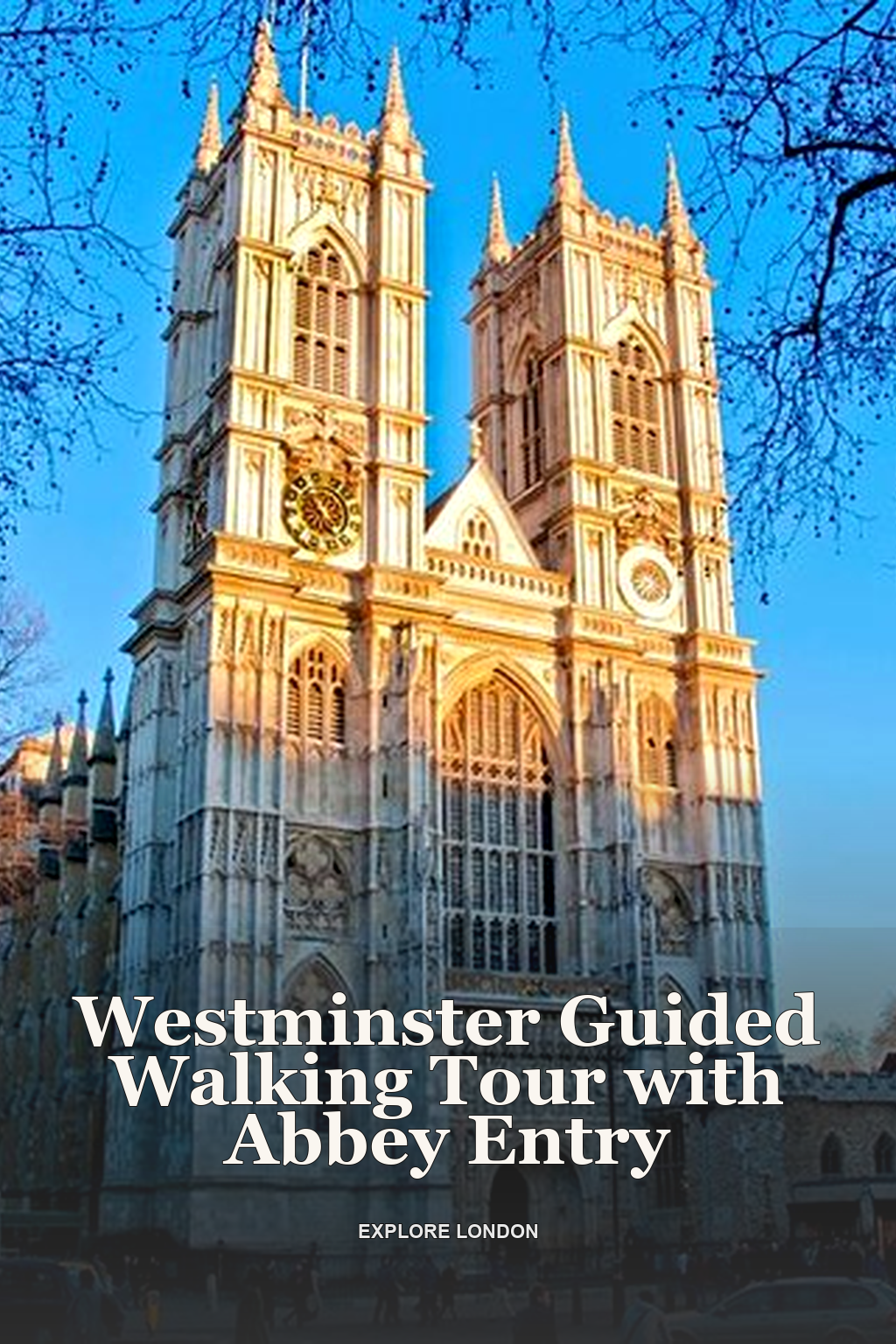 Westminster Guided Walking Tour with Abbey Entry