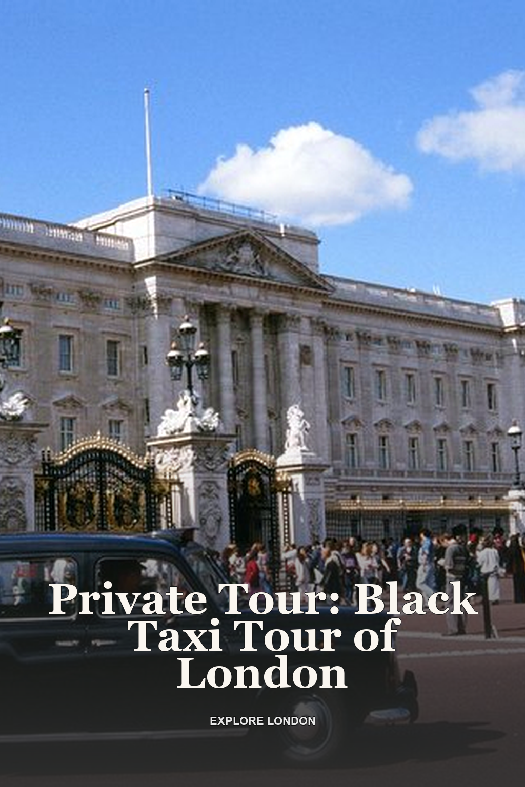 Private Tour: Black Taxi Tour of London